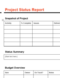 Free Client Report Template  Example