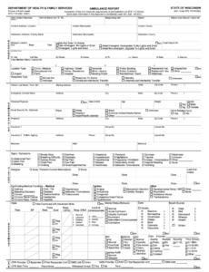 Free Ems Report Template  Sample