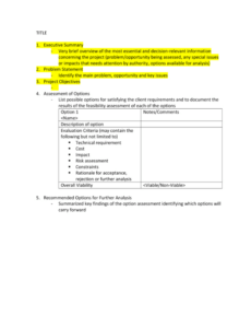 Free Feasibility Report Template Word