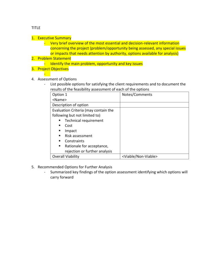 Free Feasibility Report Template Word