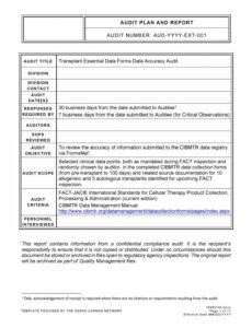 Free Internal Audit Report Template Pdf Sample