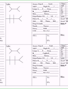 Free Psychiatric Nursing Shift Report Template Word Sample