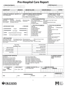 Printable Ems Report Template  Example