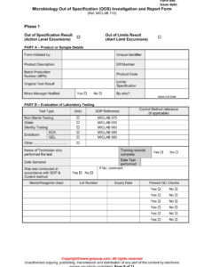 Printable Investigation Report Template  Example