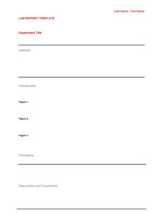 Printable Lab Report Template Doc Example