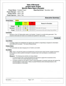Printable Management Report Template Excel Sample