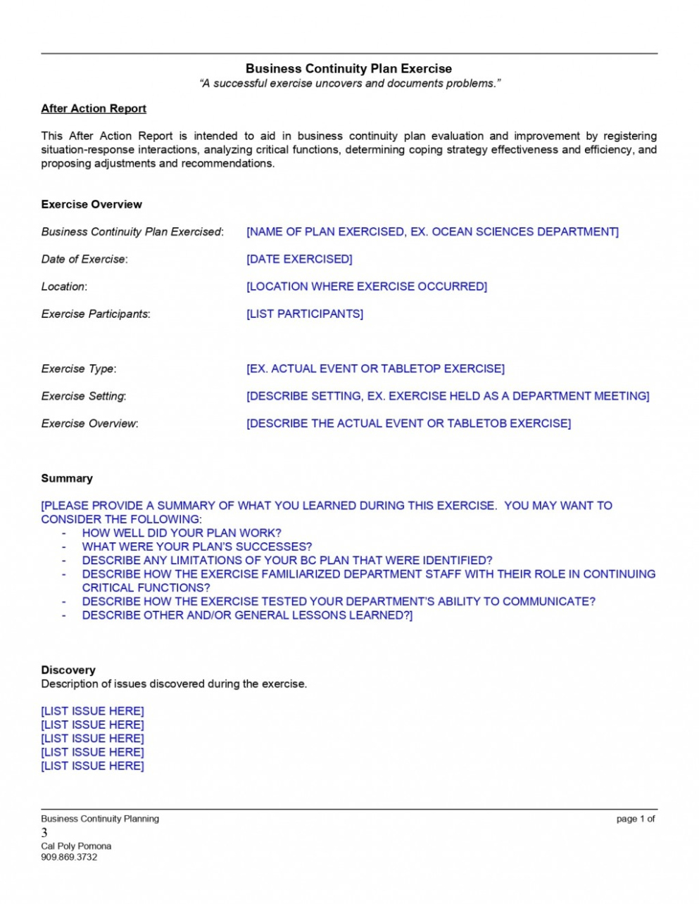 Printable Simple After Action Report Template Excel Example