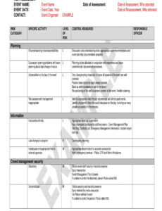 Professional Assessment Report Template Doc
