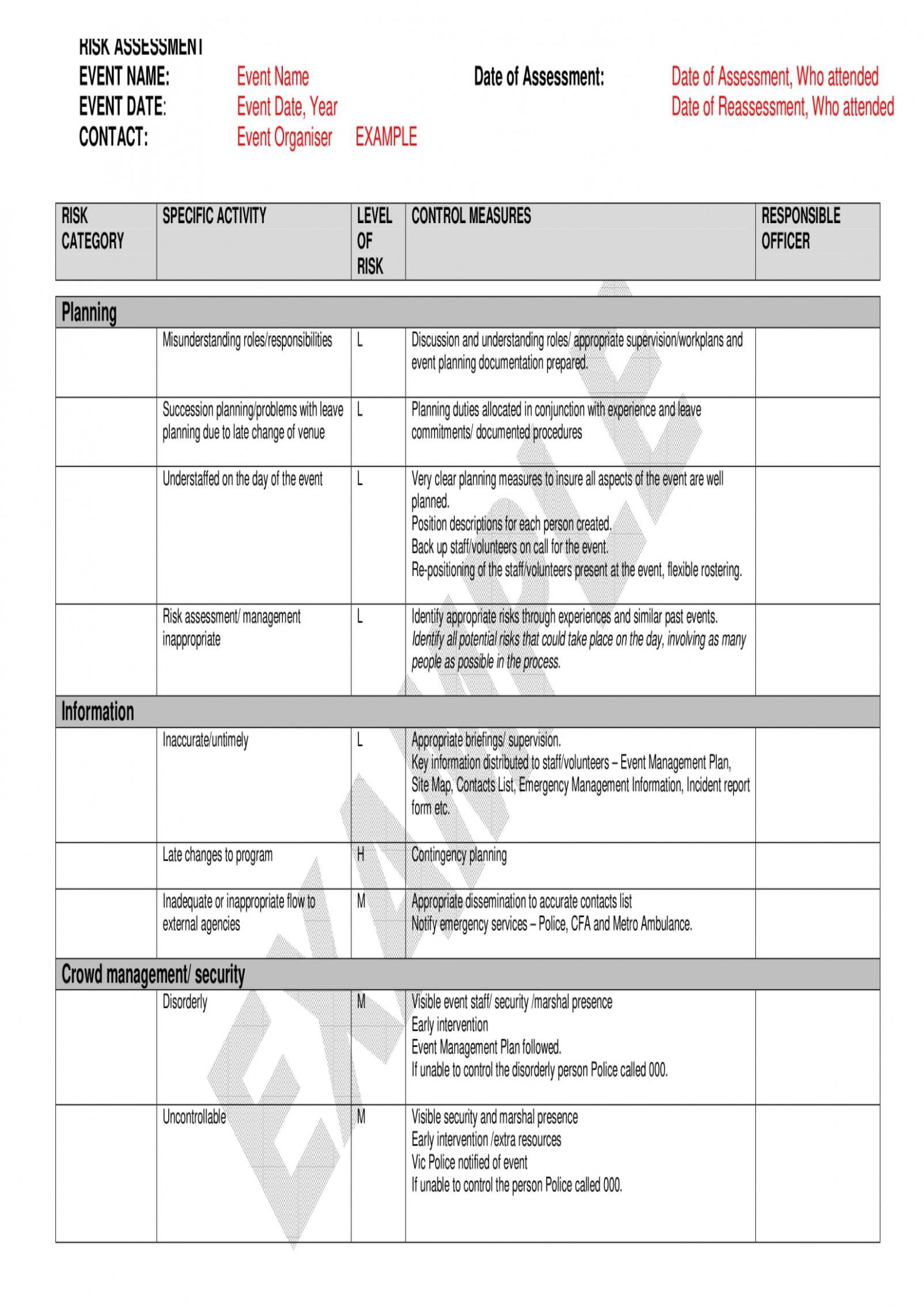 Professional Assessment Report Template Doc