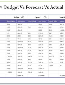 Professional Budget To Actual Report Template  Sample