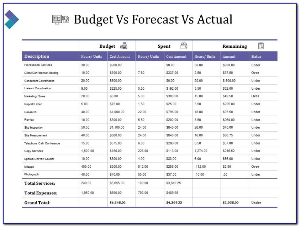 Professional Budget To Actual Report Template  Sample