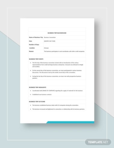 Professional Business Trip Report Template Doc Sample