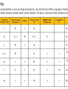 Professional Communication Matrix Report Template Doc Example