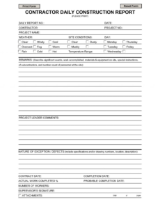 Professional Daily Construction Report Template  Example