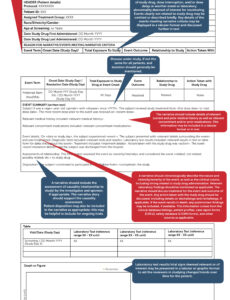 Professional Ems Patient Care Report Narrative Template Word Example