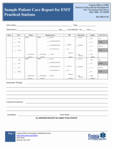 Professional Ems Report Template Doc Sample