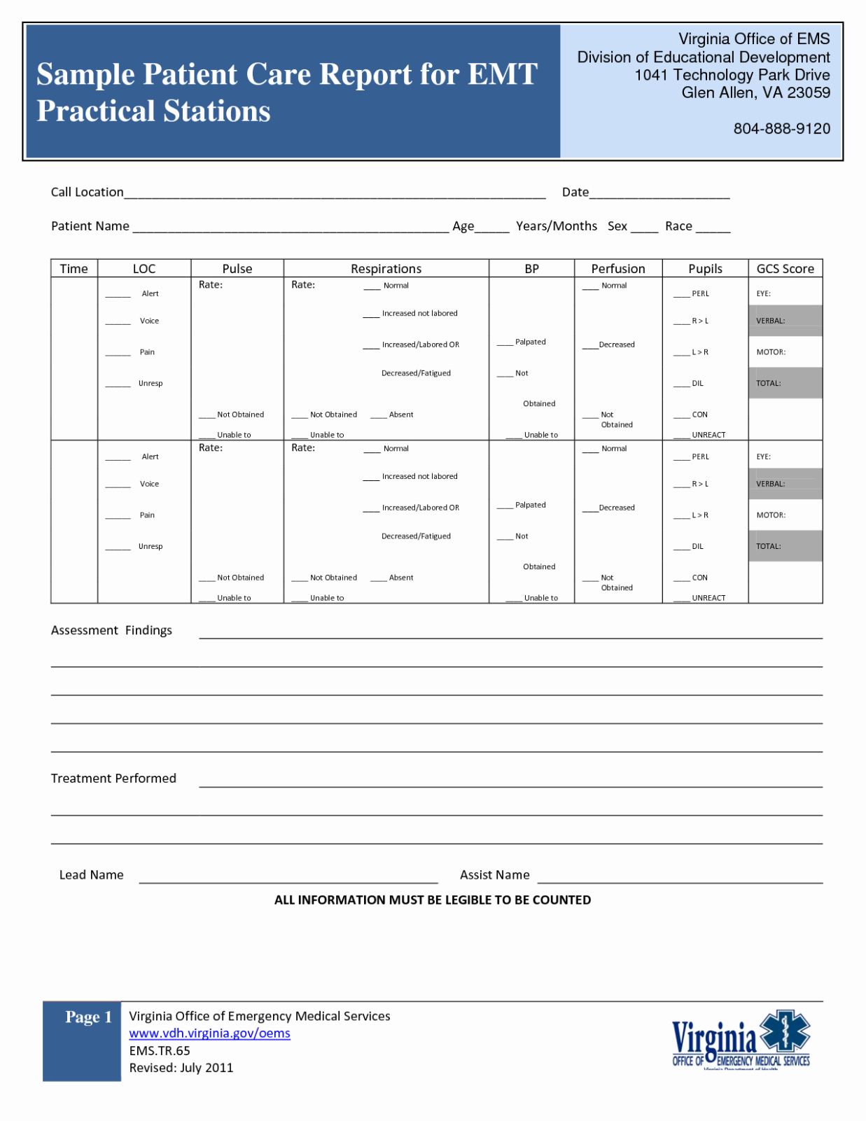 Professional Ems Report Template Doc Sample