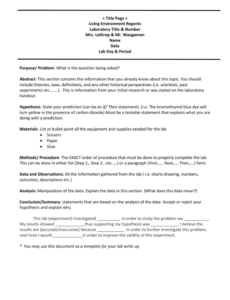 Professional Formal Lab Report Template Word Example