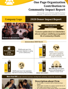 Professional Impact Report Template Word Example
