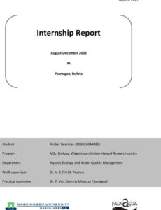 Professional Internship Report Template Word Sample