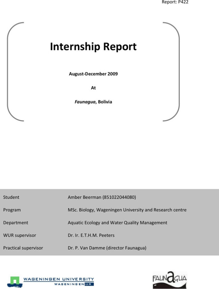 Professional Internship Report Template Word Sample