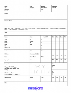 Professional Nurse Report Sheet Template Doc