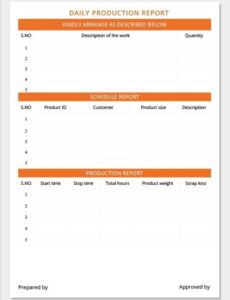 Professional Production Report Template Doc Example