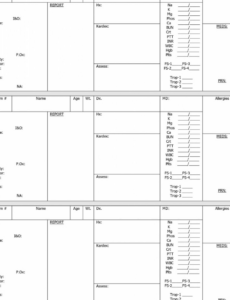 Professional Psychiatric Nursing Shift Report Template  Example