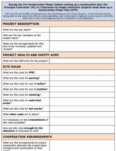 Professional Risk Assessment Report Template  Example