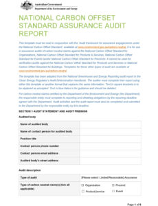 Professional Template For Audit Report Excel