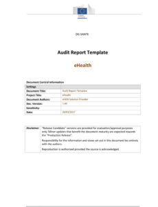 Professional Template For Audit Report Excel Example