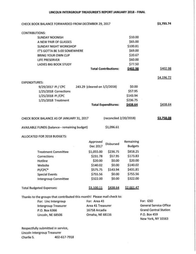 Professional Treasurer Report Template Excel