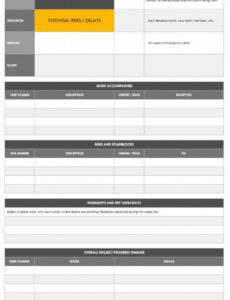 5 Printable Executive Level Project Status Report Template Xls