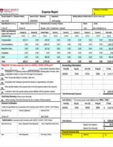 6 Editable Funds And Man Hour Expenditure Report Template Docs