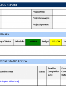 7}  Executive Summary Status Report Template Docx