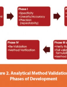 8 Editable Analytical Method Validation Report Template