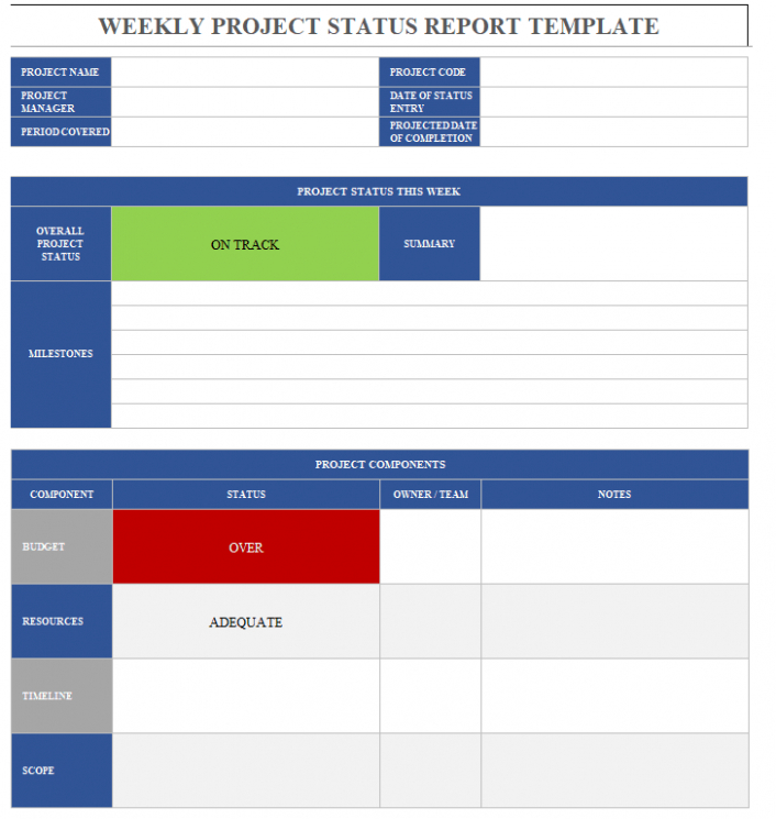 8 Editable Project Management Executive Project Status Report Template