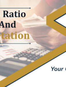 8 Printable Financial Ratio Analysis Report Template Excel