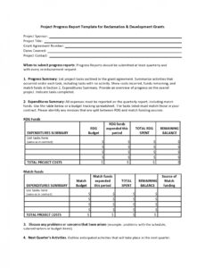 9  Client Progress Report Ndis Report Template Excel