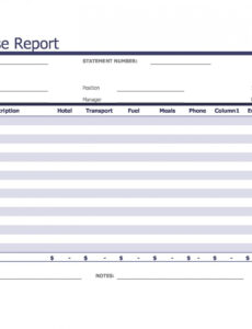 9 Editable Expense Report Template Numbers Mac Example