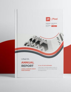 9 Editable Non Profit Annual Report Template