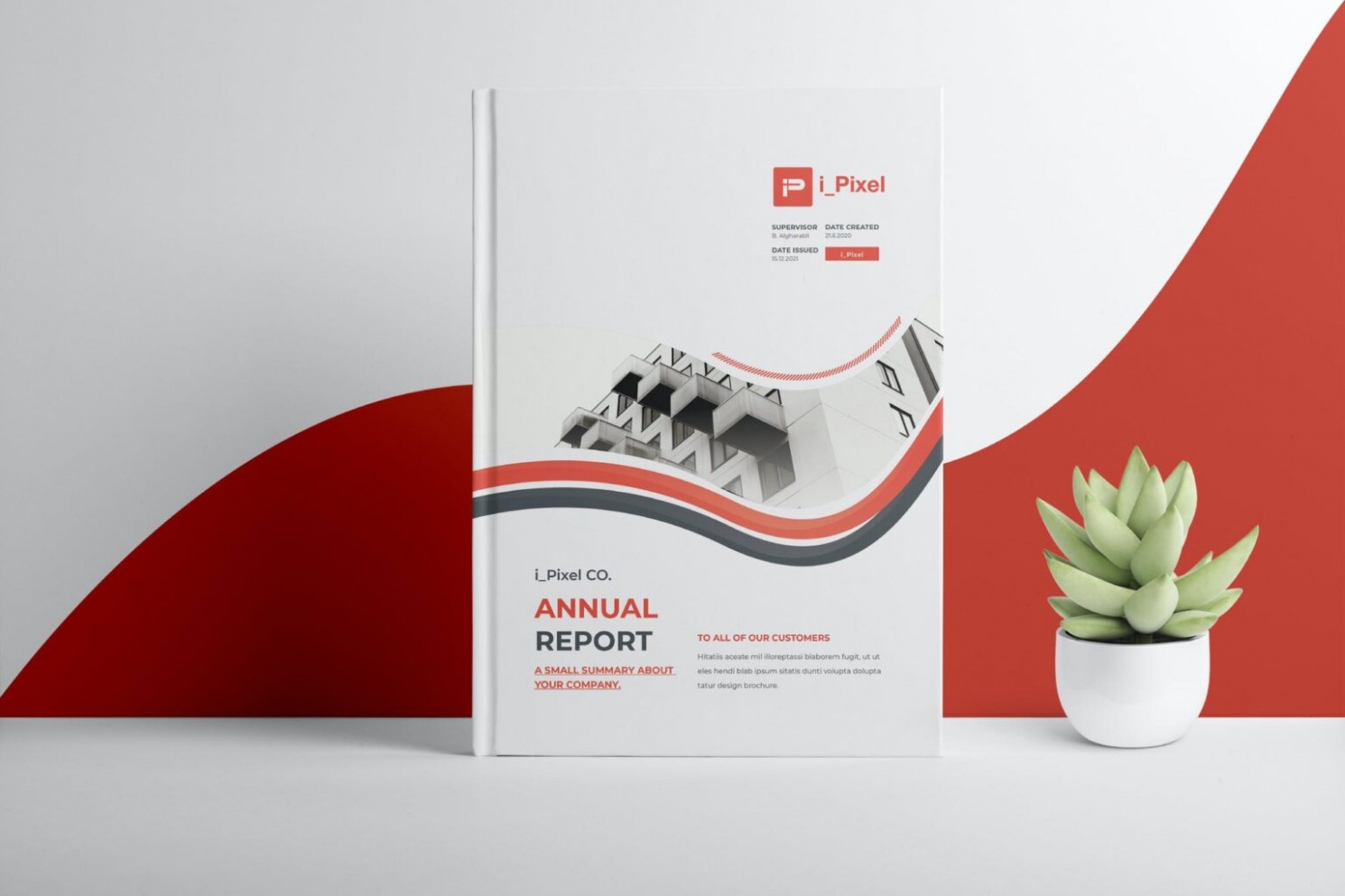 9 Editable Non Profit Annual Report Template