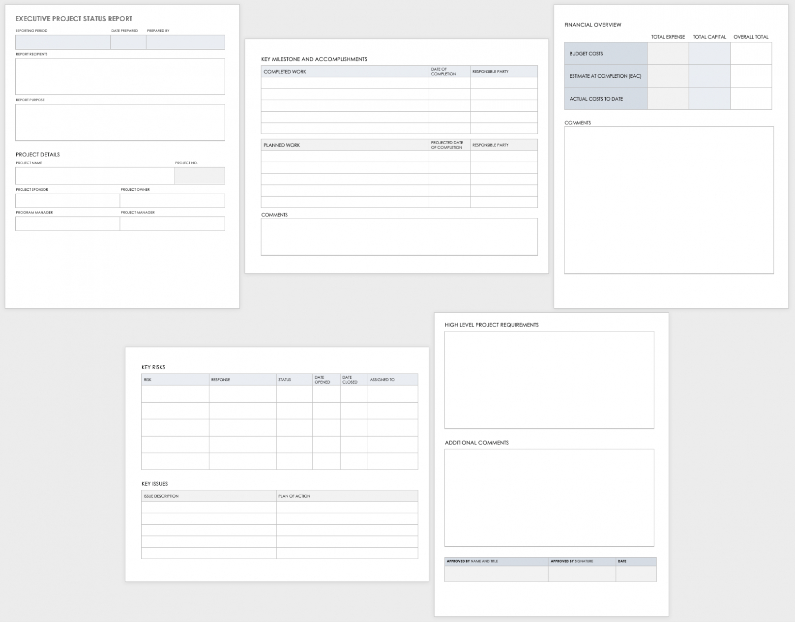 9 Printable Executive Level Project Status Report Template