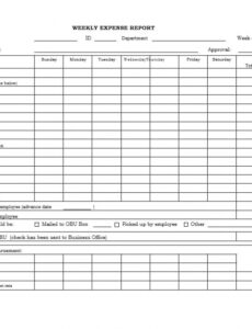 Best  Business Travel Expense Report Template Sample