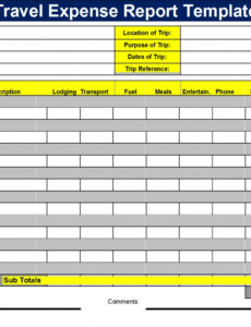 Best Editable Business Travel Expense Report Template Docs