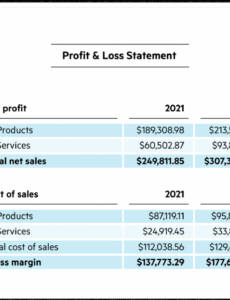 Profit And Loss Report Template Pdf