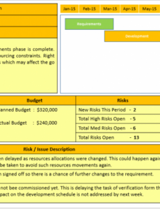 Project Management Executive Project Status Report Template Xls