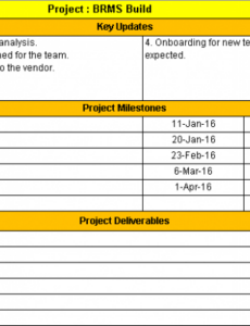 Top  Agile Project Management Status Report Template Example