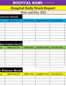 10  Bar Daily Sales Report Template Doc