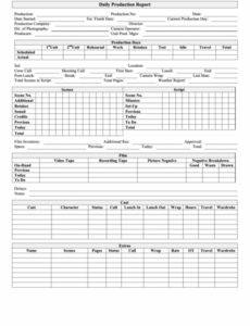 10 Editable Film Daily Production Report Template Pdf